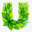pixabay